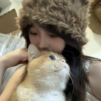 企鹅之岛:福克兰